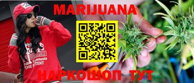 сатива Коммунар
