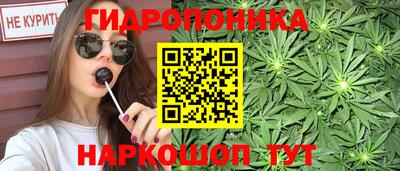 сатива Коммунар