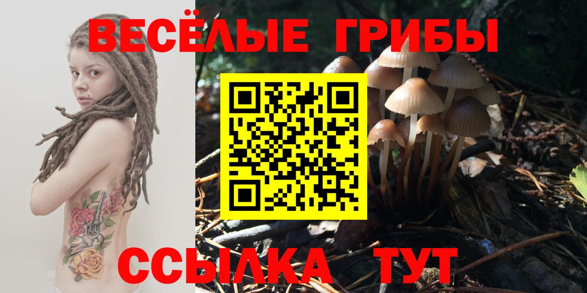 Галлюциногенные грибы Psilocybine cubensis Мегион