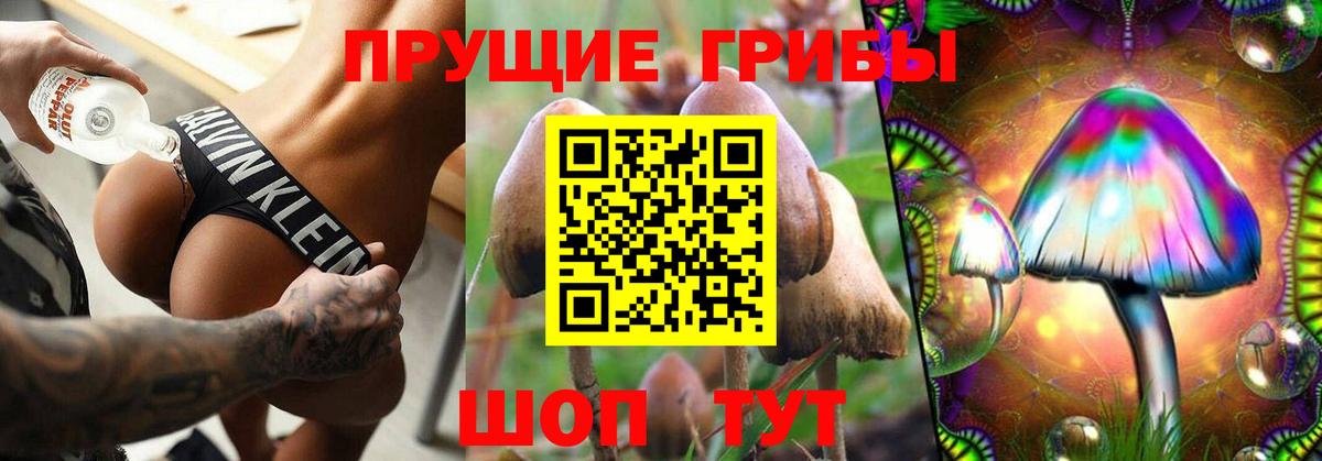 Мегион  Галлюциногенные грибы Psilocybine cubensis  где продают   Галлюциногенные грибы мухоморы  Вход с VPN 